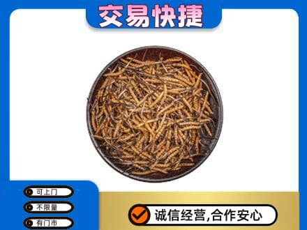 朔州市怀仁高价回收散虫草